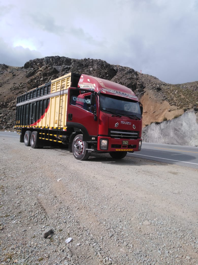 WhatsApp Image 2025-04-29 at 9.13.16 PM (1)